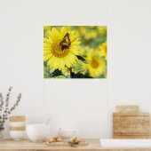 Zonnebloemveld met Poster van de vlinder (Keuken)