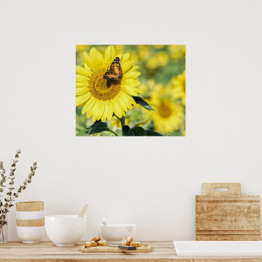 Zonnebloemveld met Poster van de vlinder (Keuken)
