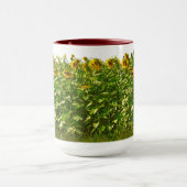 ZONNEBLOEMVELD MOK (Midden)