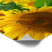 Zonnebloemveld, mooie bloemen, poster (Hoek)