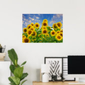Zonnebloemveld, mooie bloemen, poster (Thuiskantoor)