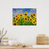Zonnebloemveld, mooie bloemen, poster (Keuken)