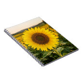 Zonnebloemveld Notitieboek (Rechterzijde)