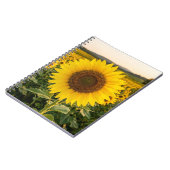 Zonnebloemveld Notitieboek (Linkerzijde)