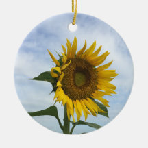 zonnebloemveld-Ornament