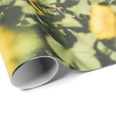 Zonnebloemveld overdag cadeaupapier (Rol Hoek)