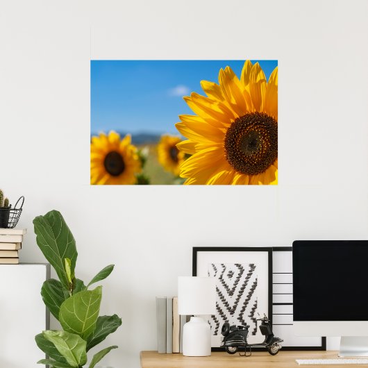 Zonnebloemveld Poster (Thuiskantoor)