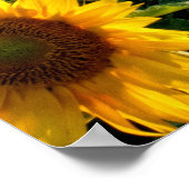 Zonnebloemveld Poster (Hoek)