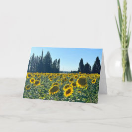 Zonnebloemveld, Provence, Frankrijk -  Kaart