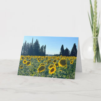 Zonnebloemveld, Provence, Frankrijk -  Kaart
