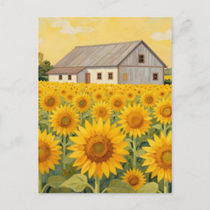 Zonnebloemveld Rustieke Schuur Landschap Briefkaart