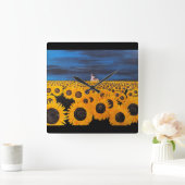 Zonnebloemveld Schilderij van Alfred Fox Vierkante Klok (Huis)