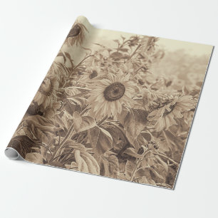 Zonnebloemveld  Sepia Tone-ontkoppeling Cadeaupapier