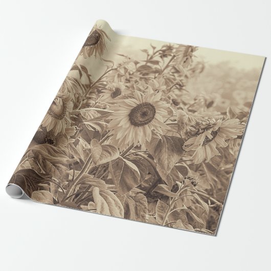 Zonnebloemveld  Sepia Tone-ontkoppeling Cadeaupapier (Uitgerold)