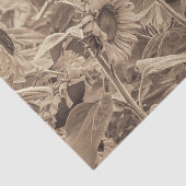 Zonnebloemveld  Sepia Tone-ontkoppeling Tissuepapier (Detail)