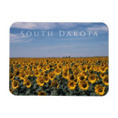 Zonnebloemveld, South Dakota Magneet (Horizontaal)