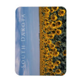 Zonnebloemveld, South Dakota Magneet (Verticaal)