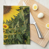 Zonnebloemveld Theedoek (Quarter Fold)