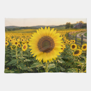 Zonnebloemveld Theedoek