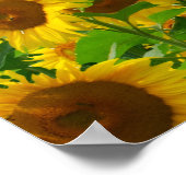 Zonnebloemveld van bloemen poster (Hoek)
