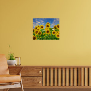 Zonnebloemveld van bloemen poster