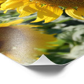 Zonnebloemvelddruk Foto Afdruk (Hoek)