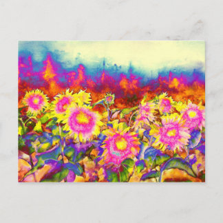 Zonnebloemvelden Briefkaart