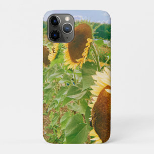 Zonnebloemvelden Case-Mate iPhone Case