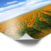 Zonnebloemvelden - Fotouitbreiding Foto Afdruk (Hoek)