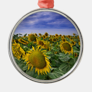 Zonnebloemvelden in Californië Metalen Ornament