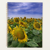 Zonnebloemvelden in Californië Planner (Voorkant)