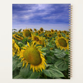 Zonnebloemvelden in Californië Planner (Achterkant)