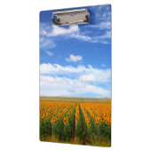Zonnebloemvelden Klembord (Links)