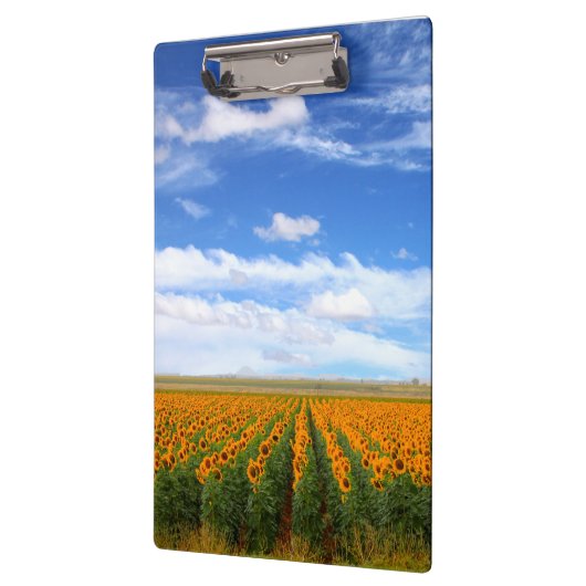 Zonnebloemvelden Klembord (Links)