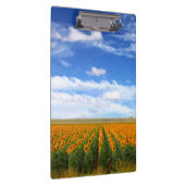 Zonnebloemvelden Klembord (Rechts)