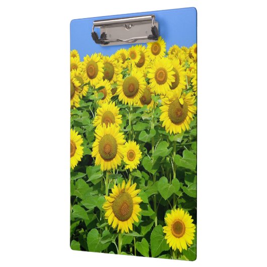 Zonnebloemvelden Klembord (Links)