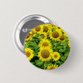 Zonnebloemvelden Ronde Button 5,7 Cm (Voorkant /achterkant)