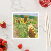 Zonnebloemvelden Servet (Insitu)