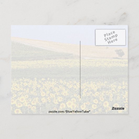 Zonnebloemvelden, Toscane, Italiaanse bloemen Briefkaart (Achterkant)