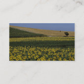 Zonnebloemvelden, Toscane, Italië Visitekaartje (Achterkant)