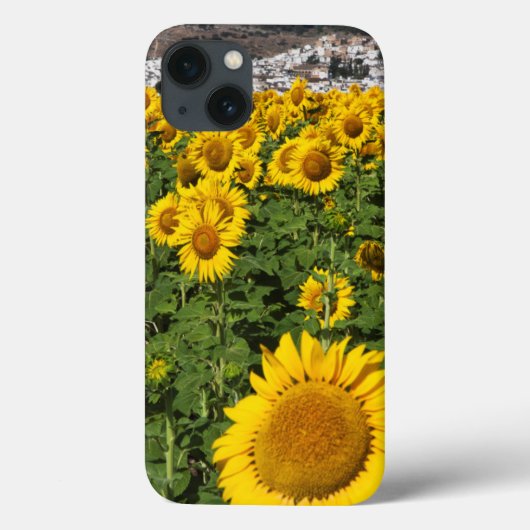 Zonnebloemvelden, witte heuvelstad Bornos Case-Mate iPhone Case (Achterkant)