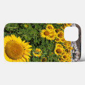 Zonnebloemvelden, witte heuvelstad Bornos Case-Mate iPhone Case (Achterkant (horizontaal))
