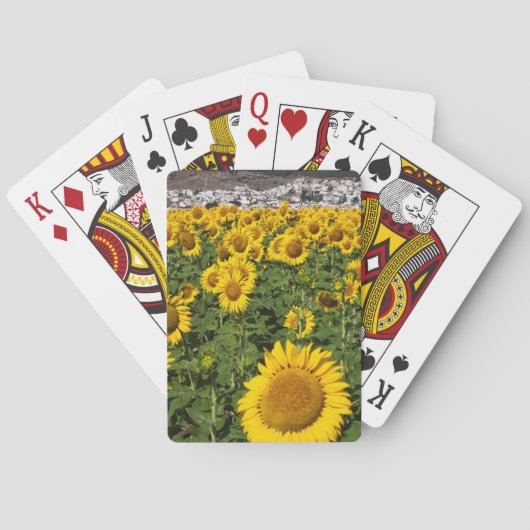 Zonnebloemvelden, witte heuvelstad Bornos Speelkaarten (Achterkant)