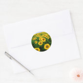 Zonnebloemveldgele bloemen ronde sticker (Envelop)