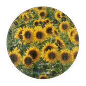 Zonnebloemveldglas Snijplank (Voorkant)