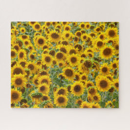 Zonnebloemveldpuzzel Legpuzzel