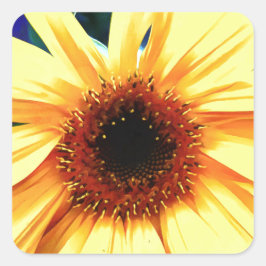 Zonnebloemvierkante Stickers