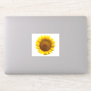 Zonnebloemvinylsticker Sticker