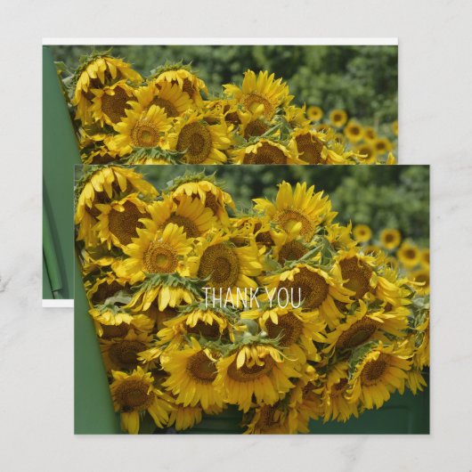 ZONNEBLOEMWAGEN BRIEFKAART (Voorkant / Achterkant)