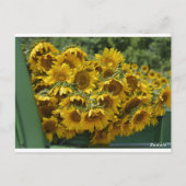 ZONNEBLOEMWAGEN BRIEFKAART (Achterkant)